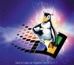Start of Linux on Windows Server of v7.7
