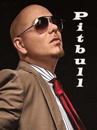 Pitbull -   (2011) DVDRip