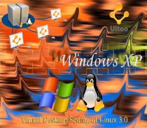 Virtual Desktop Setting of Linux 3.0