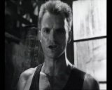 Sting -   (1988-2008) DVDRip