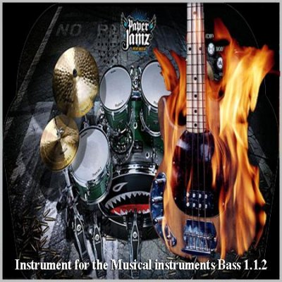 Instrument for the Musical instruments Bass 1.1.2