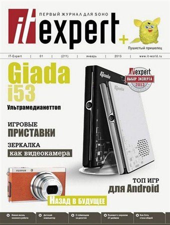 IT Expert 1 ( 2013)
