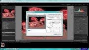Adobe Photoshop Lightroom 5.0 Final Portable by PortableAppZ (2013)