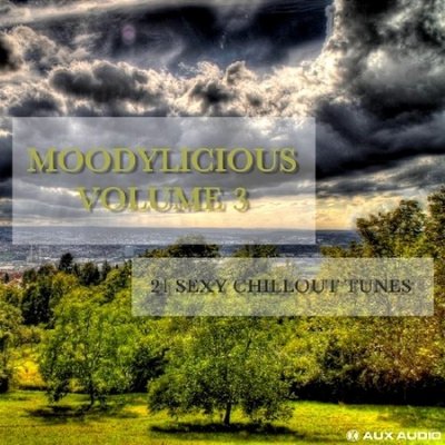 Moodylicious Vol 3. 21 Sexy Chillout Tunes (2013)
