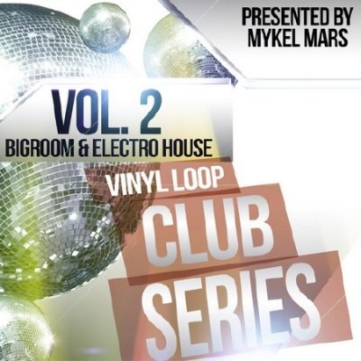 Vinyl Loop Club Series Vol.2 (2013)