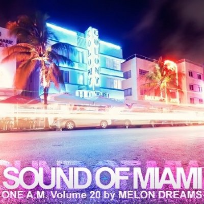 Sound Of Miami - One A.M. Volume 20 (2013)