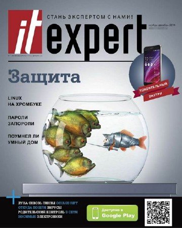 IT Expert 11 (- 2014)