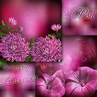 Многослойные фоны - Пурпурные цветы величием чаруют небеса